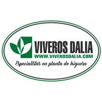 www.viverosdalia.com